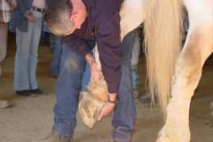 Troy judging a back foot at a contest