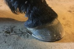 0af5b479f8bb1e93-photo