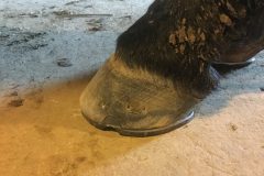 1857963d634184d5-photo