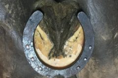 9718d2e40f07b821-photo