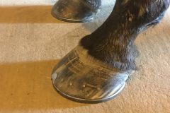 9d815b5ecfad2ffe-photo