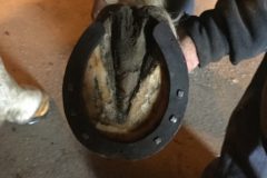 bdeff88d83ea8574-photo