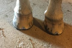 ca00a435a8c8e39f-photo