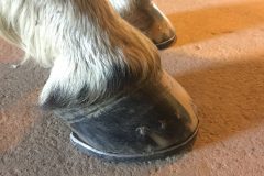 f6ed6eda9cf8e44c-photo