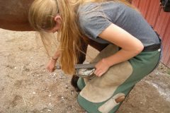 Alexis leveling the hoof
