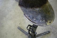 Ashlyn's finished shod hoof
