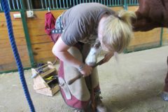 Alla removing the flares from a hoof