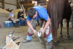 Sam trimming a hind hoof