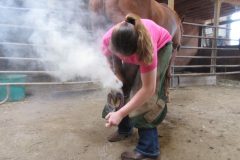Zoe hot fitting a hind hoof