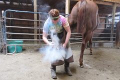 Kayla hot fitting a hind hoof
