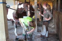 Zoe hammer clinching