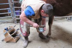 Sam nailing on a shoe with a pad