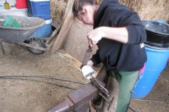 Zoe rasping a pad to the shoe