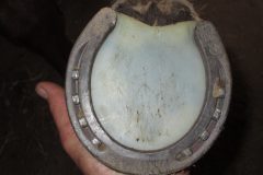 Front show with pad done by students