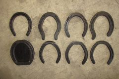 Certified passing shoe board by Eli Stutzman