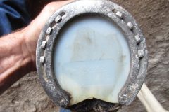 Shoe with pad done by students