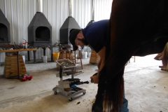 Bryant working on a hind hoof