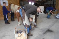 Casey rasping on a hind hoof