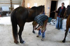 Troy Corless working on a hoof