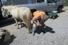 Adam measuring a hoof