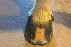 fcaf18acbd195639-photo