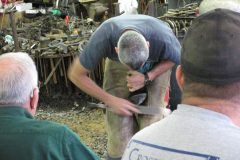 Troy Price giving a clinic at the 2015 Annual Contest and Eastern Farrier Conference