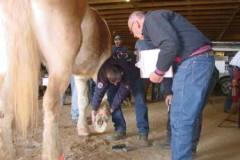 Troy judging a foot with Bruce Daniels at a contest in North Carolina
